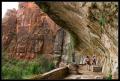 CRW_8893 Beneath weeping rock